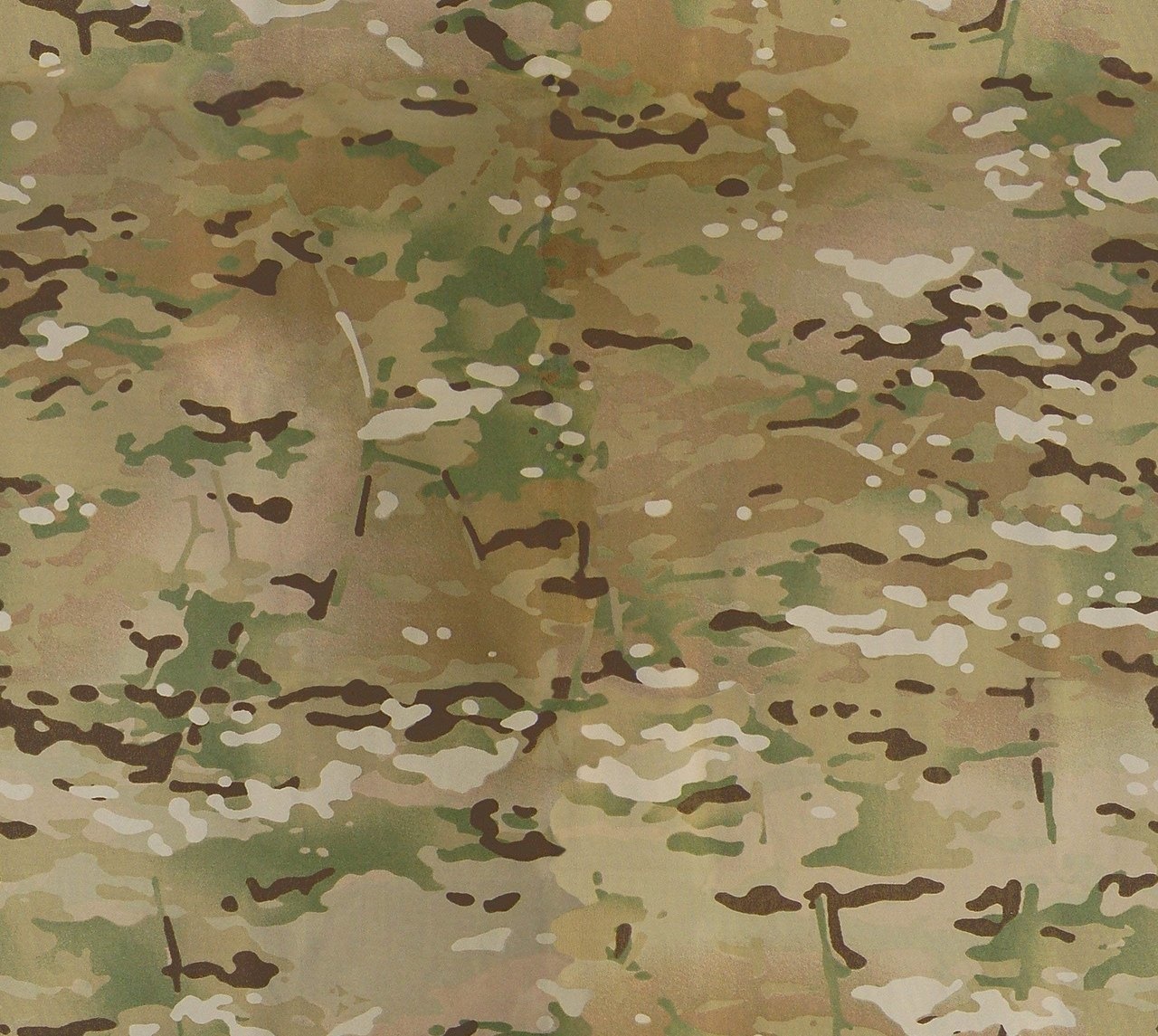 Multicam
